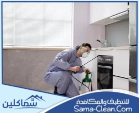 شركة مكافحة حشرات في دبي
