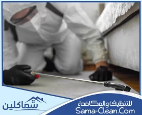 شركة مكافحة حشرات في رأس الخيمة